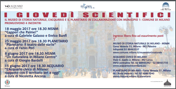 Screen Shot 2017-06-01 at 20.15.58