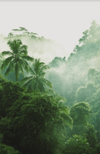 Screen Shot 2018-04-25 at 12.23.25