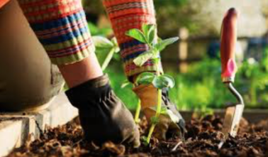 Screen Shot 2018-06-25 at 14.58.12.png