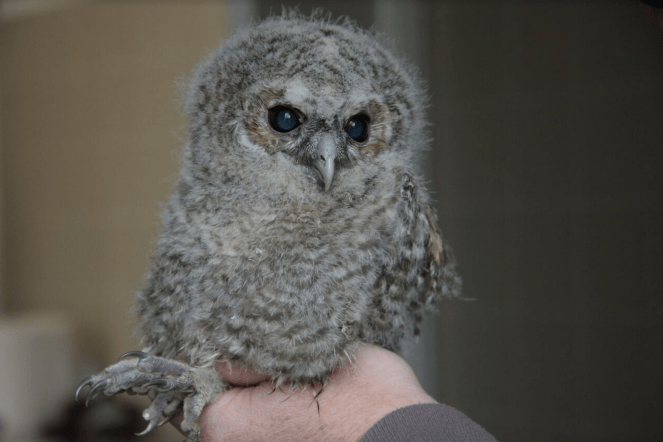 Screen Shot 2018-07-08 at 18.38.10.png