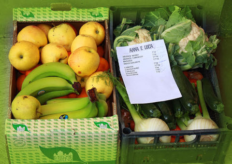 nostripuntiforza-480x340