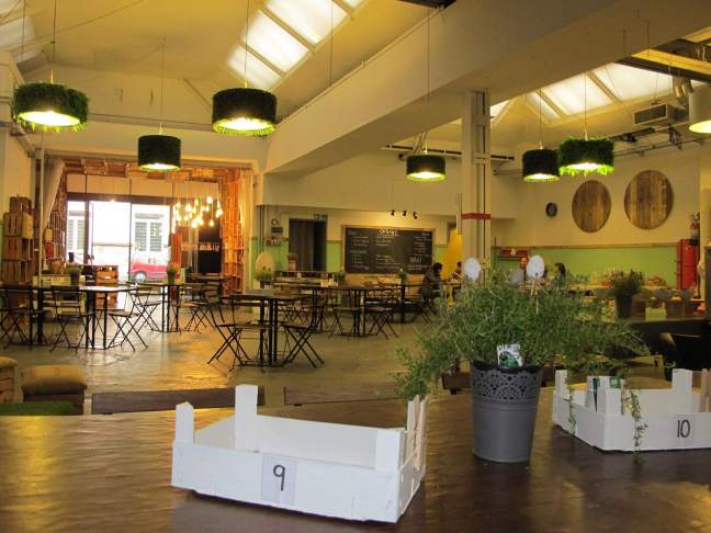 18815440_1353209451414225_1207001732702166633_o