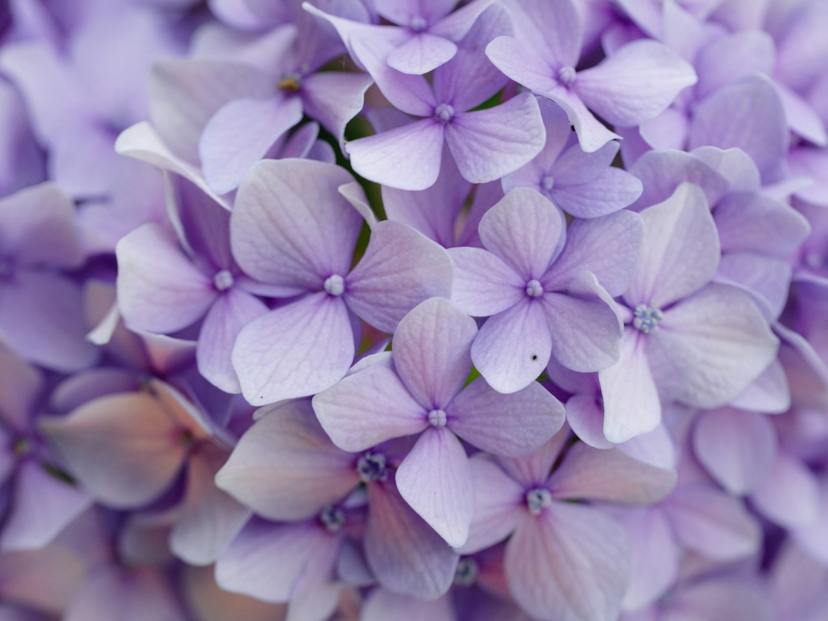 La vita scorre attraverso il mio&nbsp;tempo